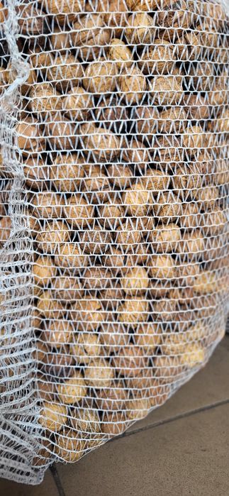 Orzechy włoskie mix eko