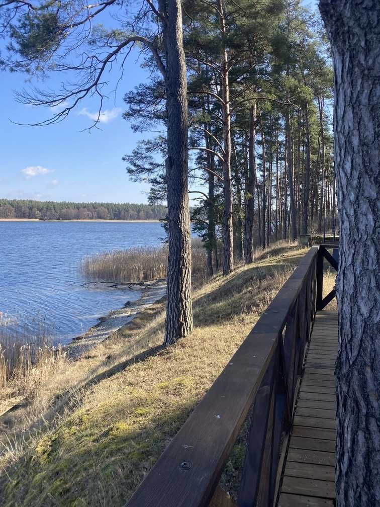 Domek nad jeziorem, pomost, las, wynajem całoroczny