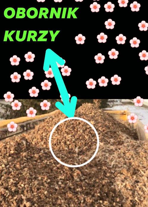 Obornik kurzy same bobki