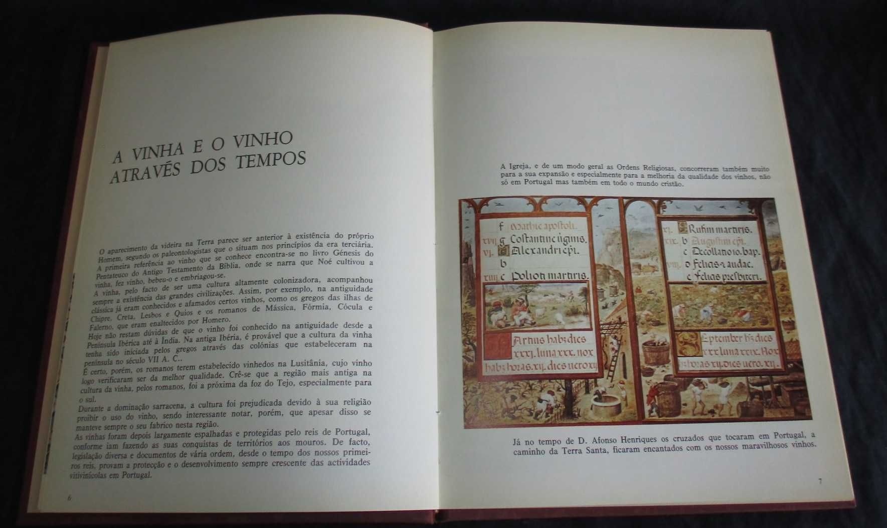 Livro Vinhos do Nosso País Bento de Carvalho, Lopes Correia