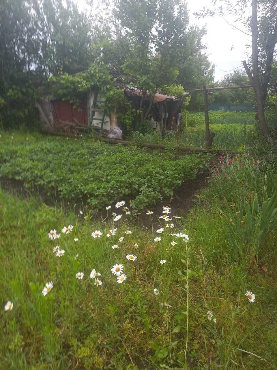 Продається дача в Березанці. Торг
