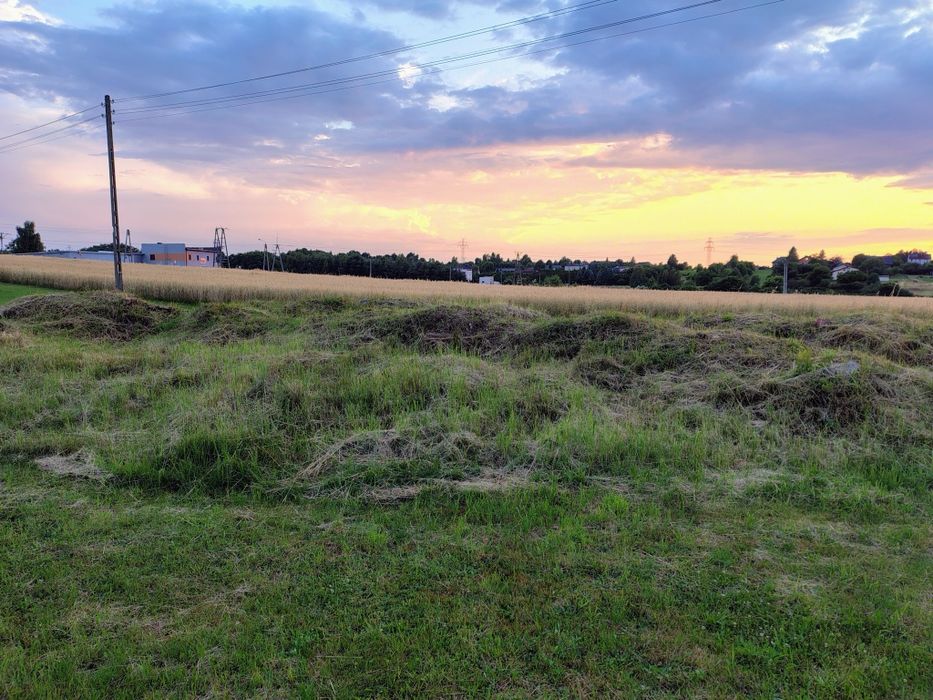 Oddam ziemię. Z wykopu za darmo