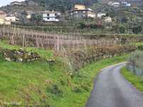 Terreno  para venda