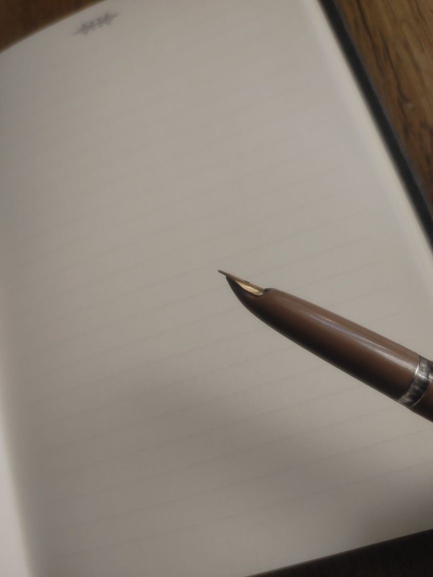 Pilot Super 100v pióro wieczne