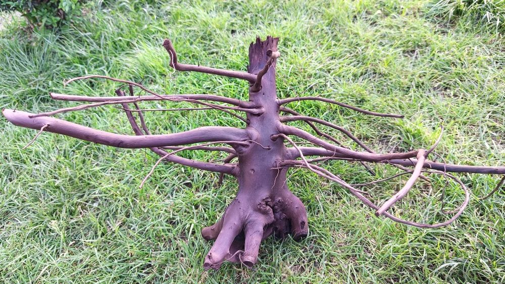 Коряга в аквариум