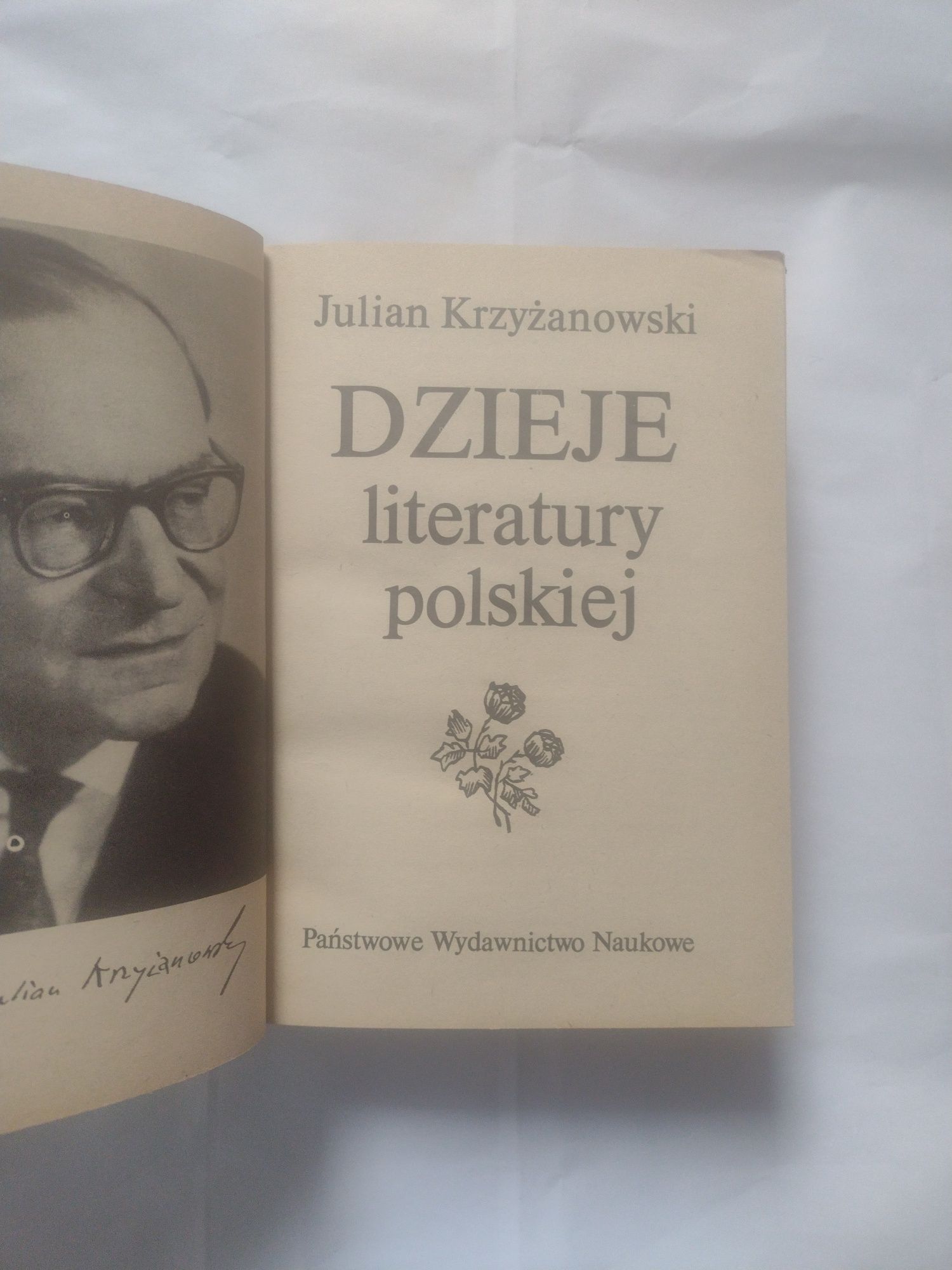 Julian Krzyżanowski Dzieje literatury polskiej