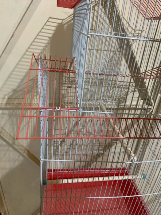 Gaiola para passaros