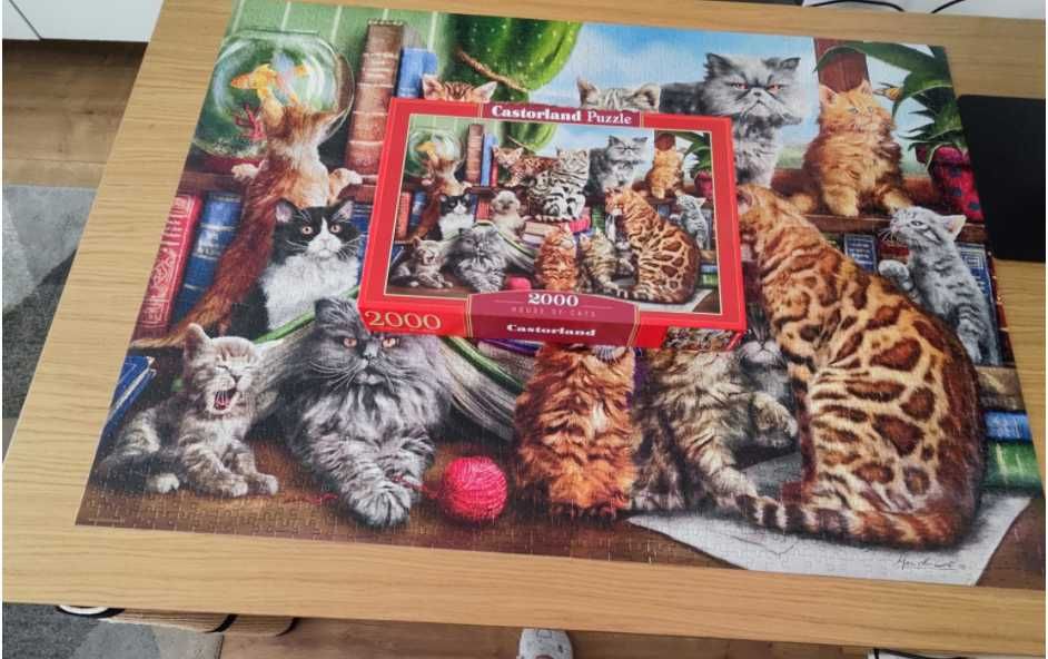 kompletne puzzle Castorland "hause of cats" (2000 elementów)