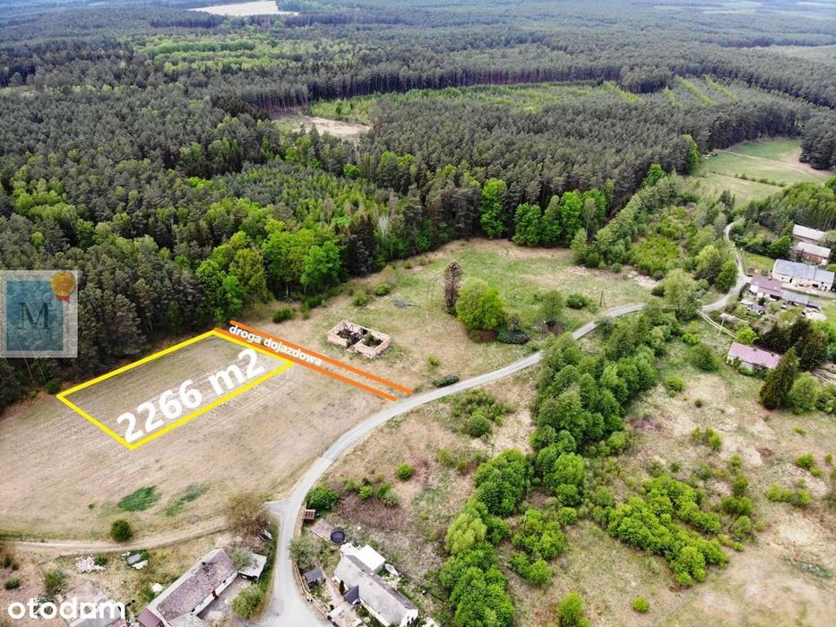 Pajęczno-Sterków, budowlana,22a,Wz,las