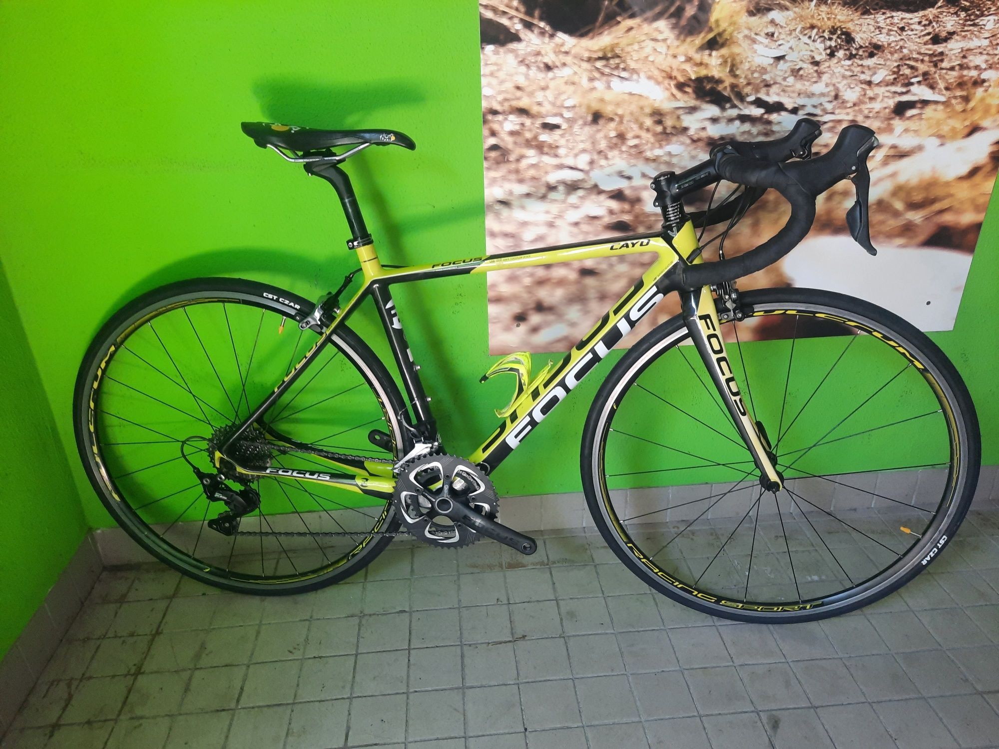 Focus carbono s 11x2v