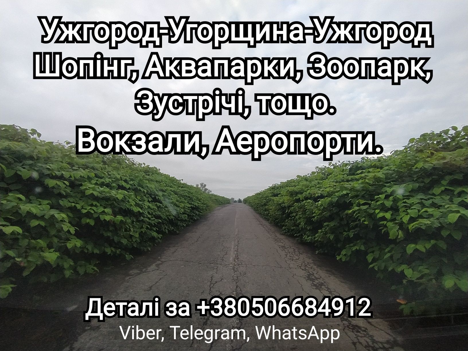 трансфер.  Дебрецен, Будапешт, Кошіце.