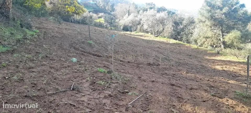 Oportunidade Única terreno com boas vistas