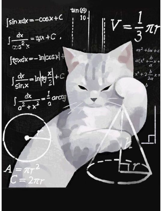 Korepetycje z matematyki dla uczniów szkoły podstawowej i średniej