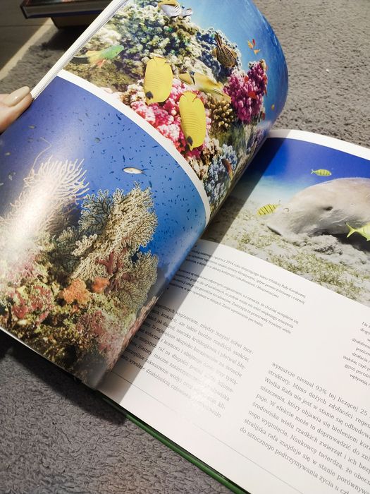 Książka o ekologii