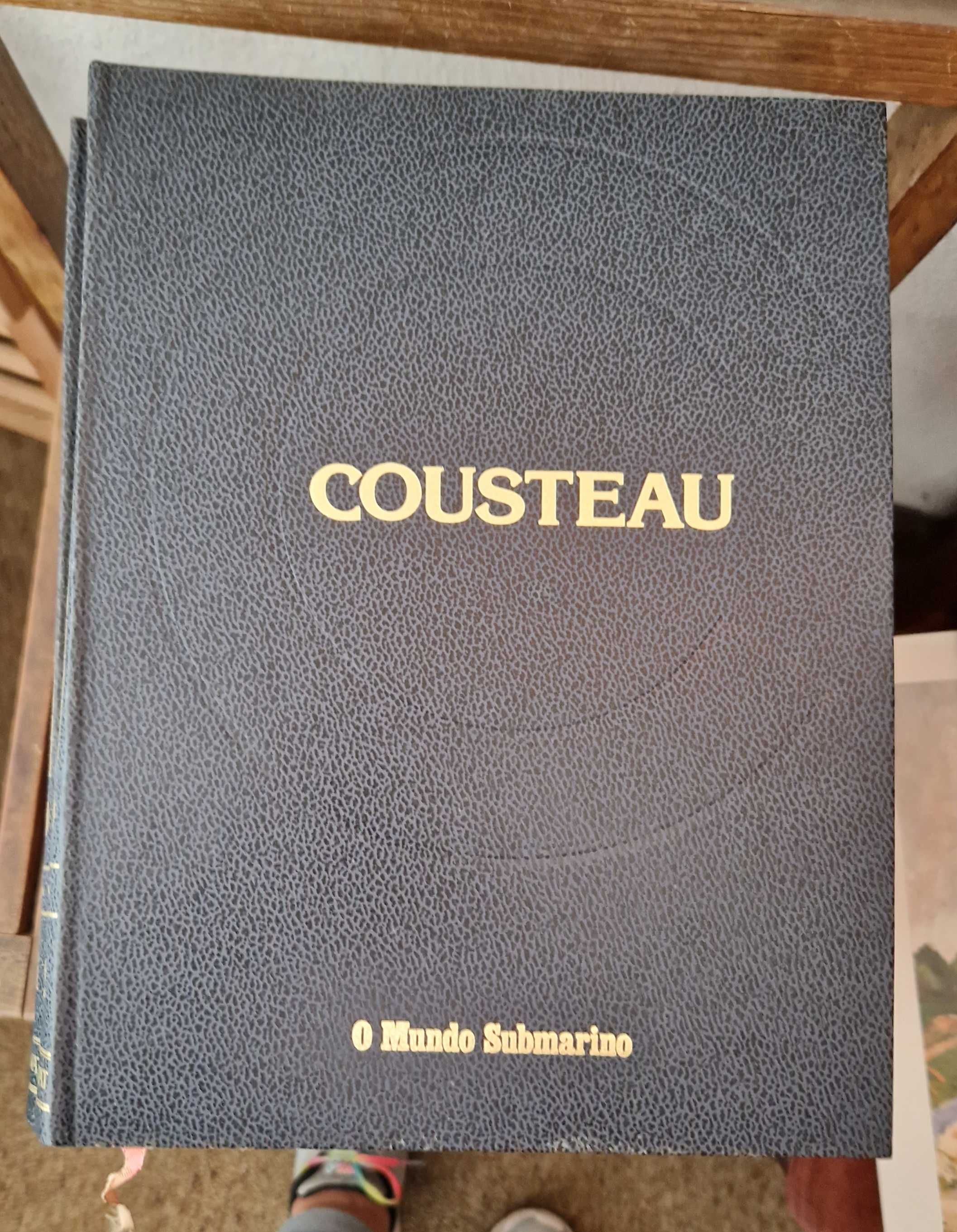 Enciclopédia "O mundo submarino " de Jacques Yves Cousteau