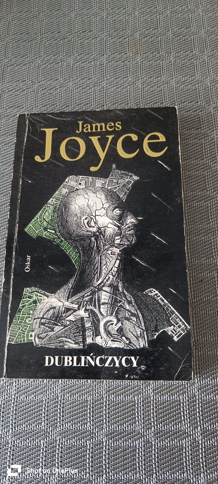 Książka dublińczyk james joyce