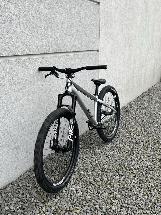 rose the bruce 2 alaudark  2024 rozmiar l srebrny