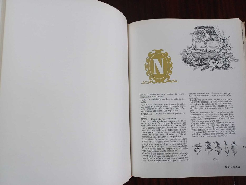 Grande Enciclopédia da Cozinha - Maria de Lourdes Modesto