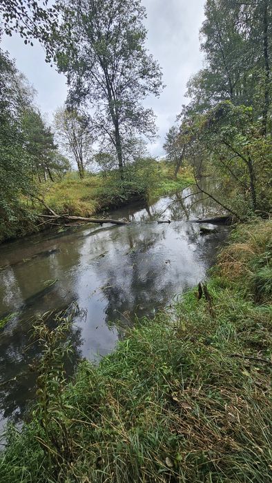 Działka Budowlana Tanio Blisko Rzeka Las