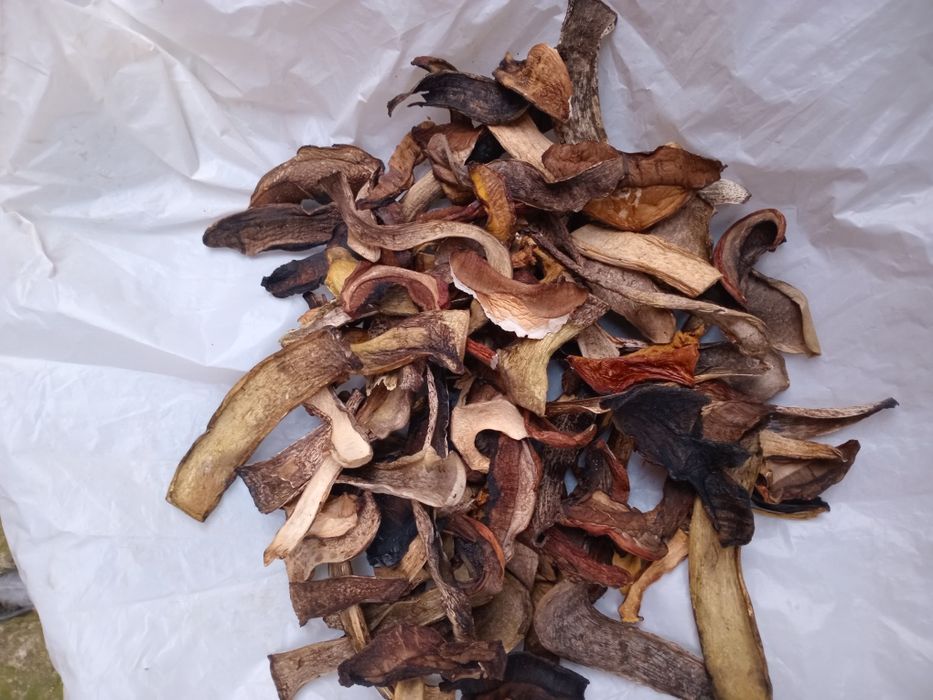 Сушені різані шапочки молоденьких білих грибів.