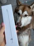 Apple pencil 1 generacji rysik dlugopis