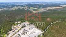 Terreno Florestal / Eucaliptal / 10 Hectares / Trofa