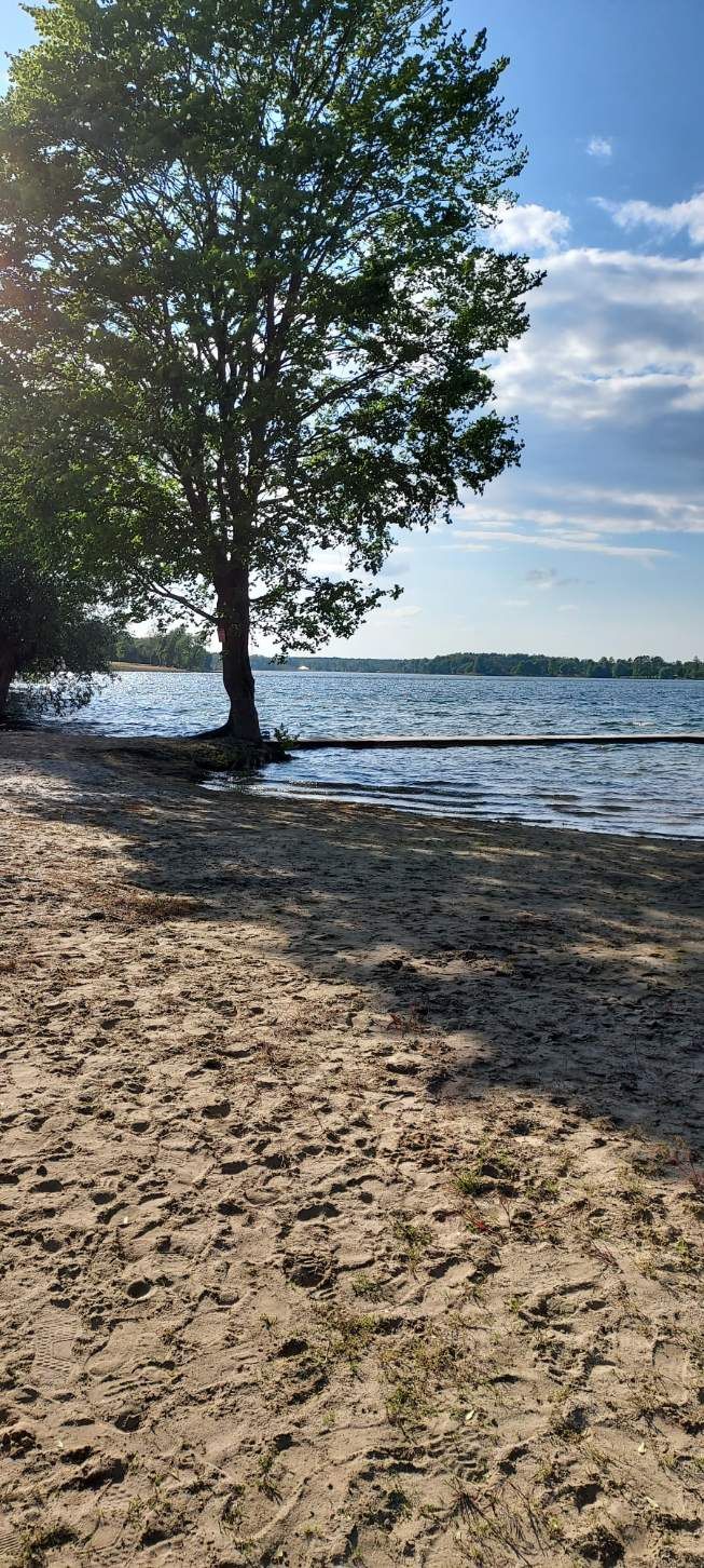 Działka w pobliżu jeziora Bialego