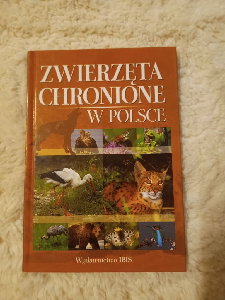 Książka Zwierzęta chronione w Polsce - wydawnictwo Ibis