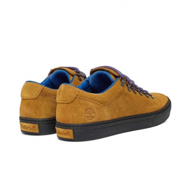 Туфли черевики туфлі Timberland Adv 2.0 Cupsole Alpine Ox M 43 (EU 44)