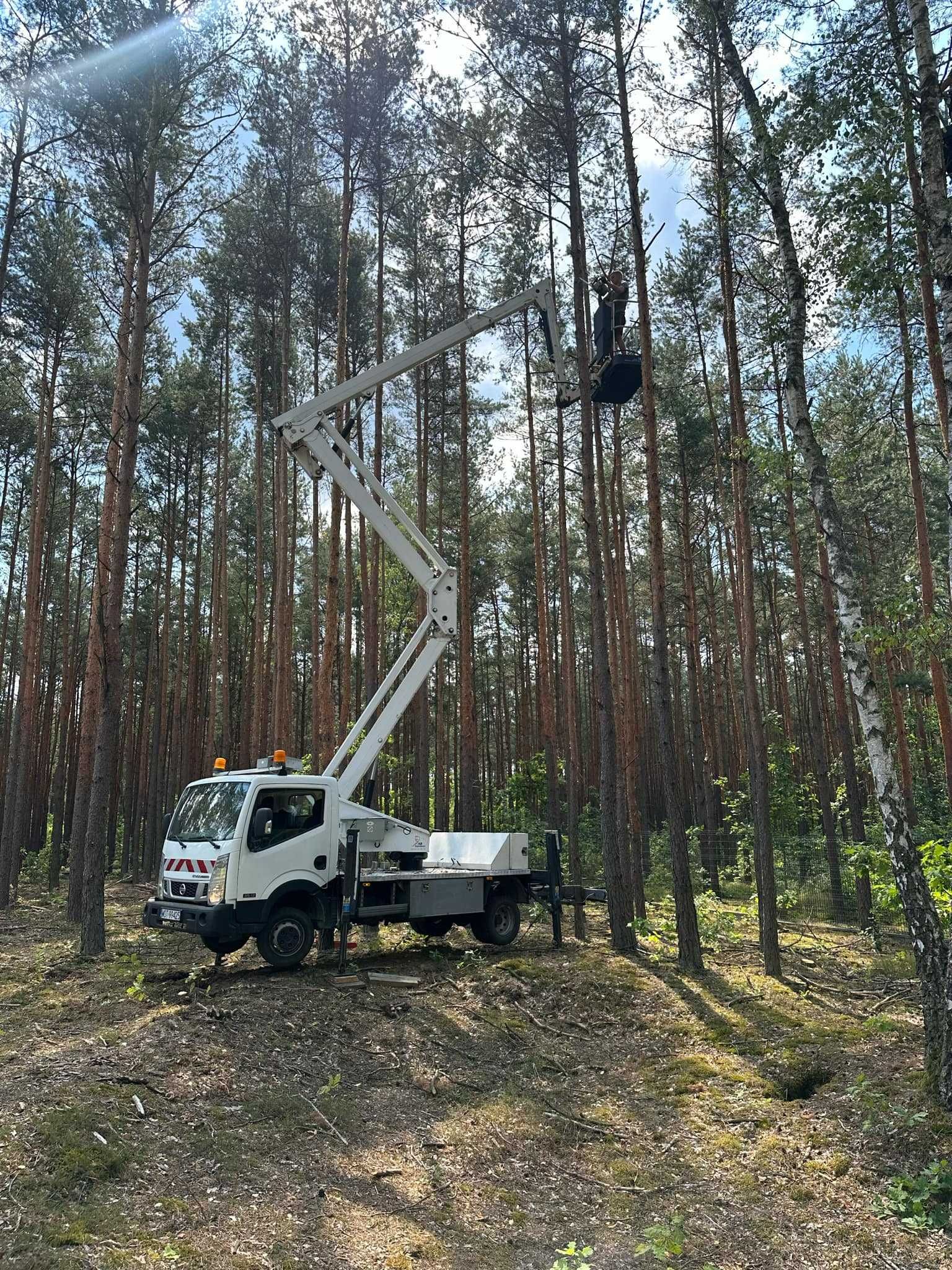 Wycinka Drzew, Karczowanie Terenów, Zrębkowanie i Pielęgnacja Ogrodów