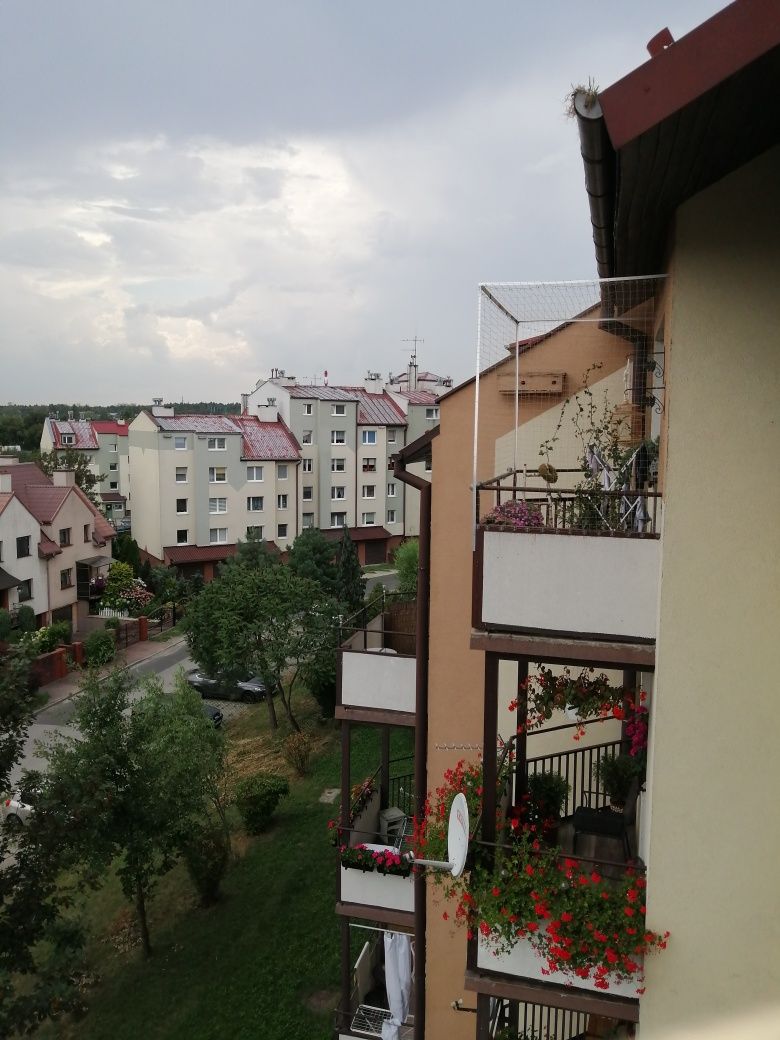 Siatka zabezpieczająca na balkon okno koty gołębie