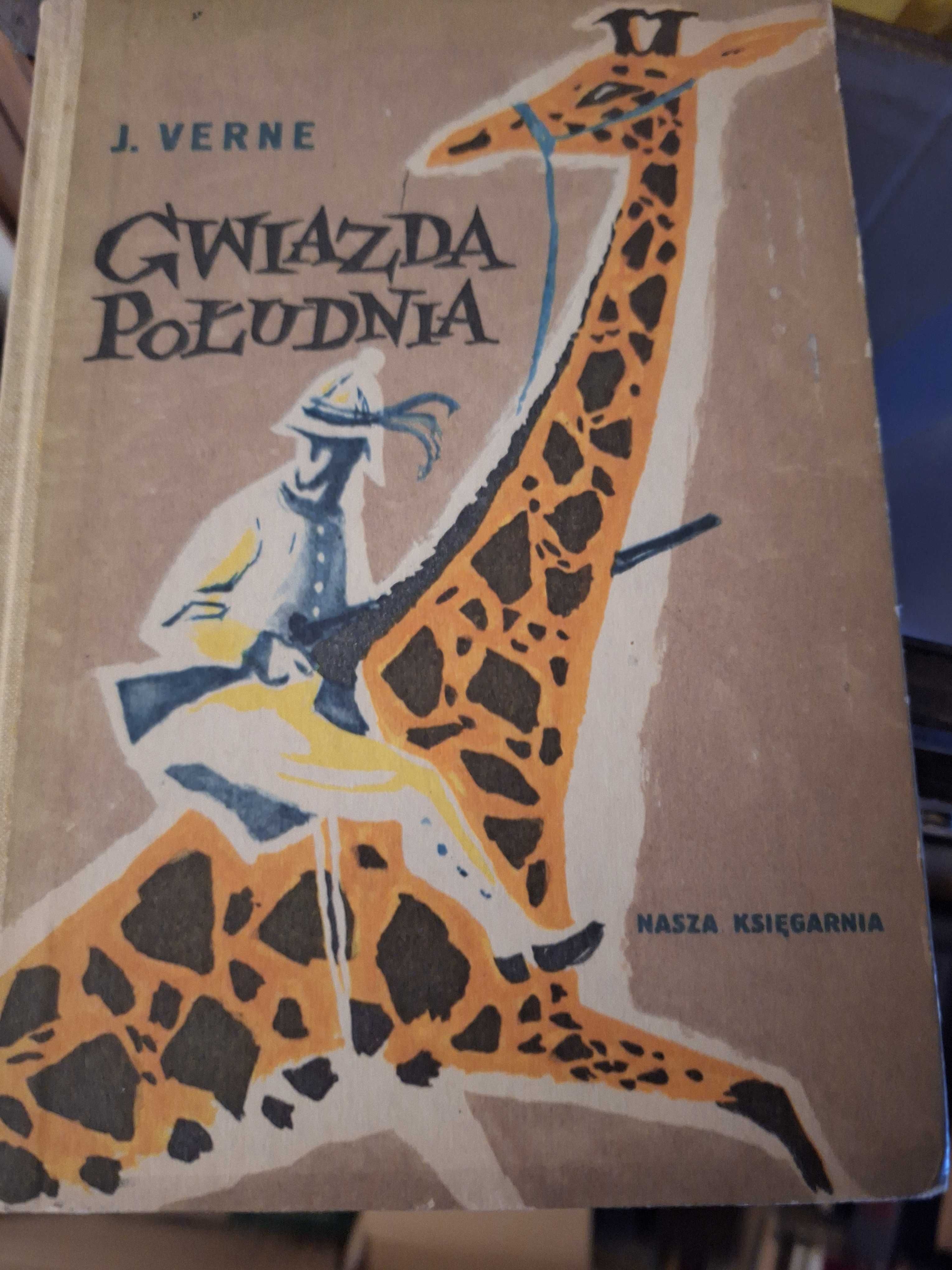 Juliusz VERNE - Gwiazda Południa