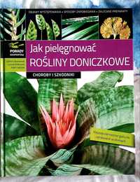 Jak pielęgnować rośliny doniczkowe - G. Łabanowski, L. Orlikowski, A.W