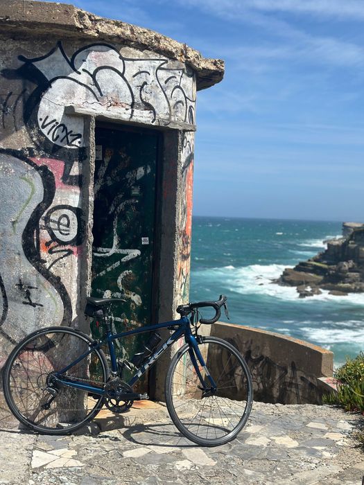 Trek Domane Al Estrada