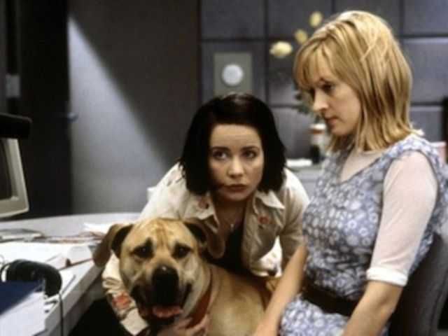 Toda a verdade sobre cães e gatos (Uma Thurman/Janeane Garofalo)