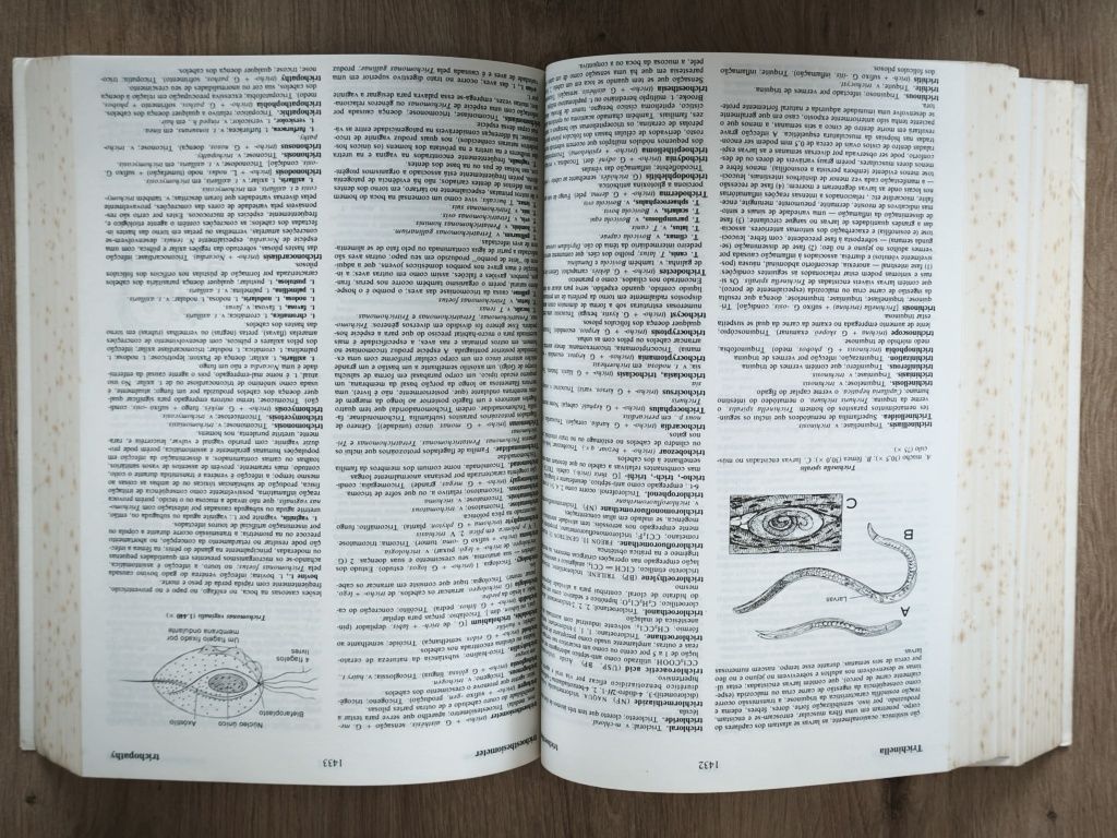 Dicionário Médico Stedman 23ª Edição