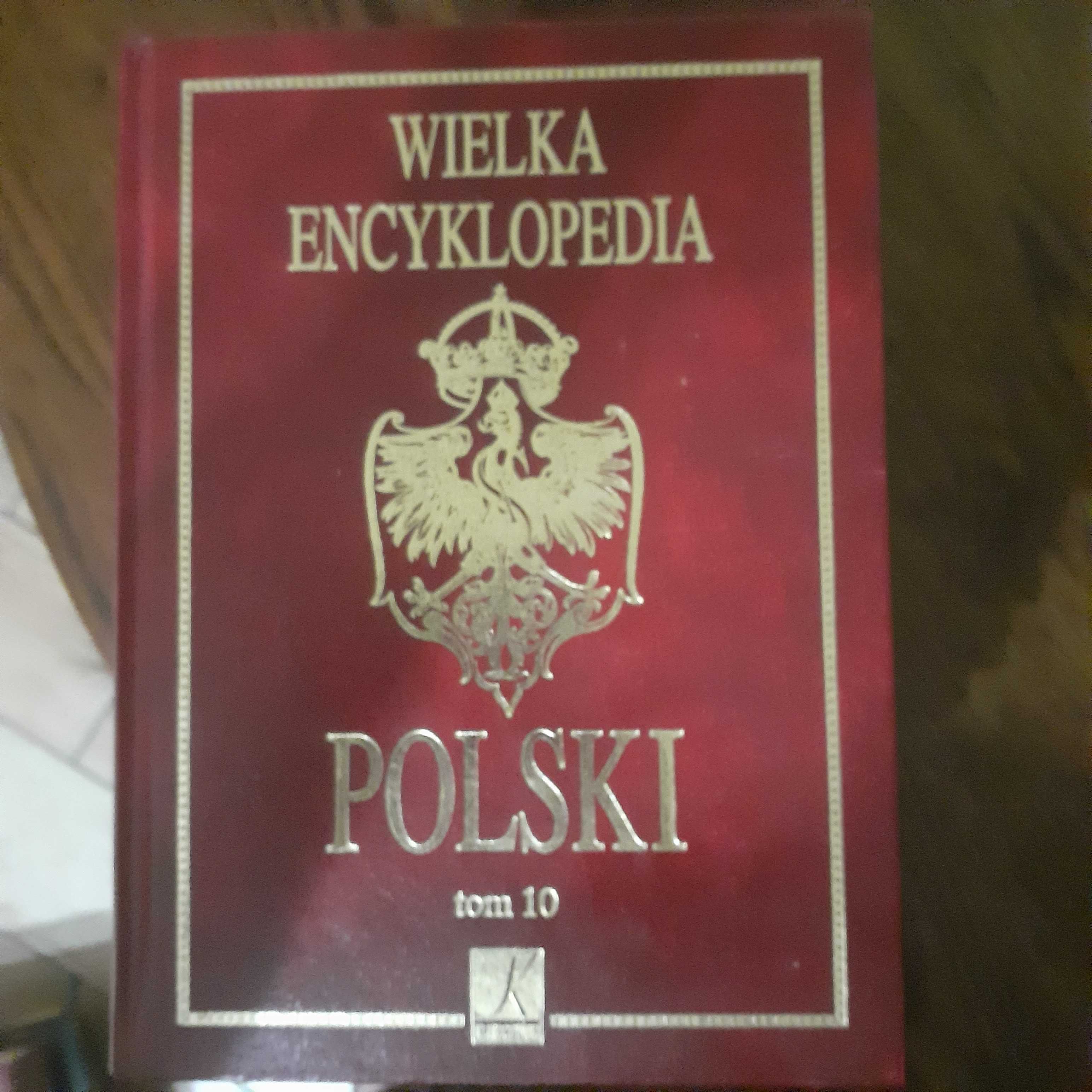 Wielka encyklopedia Polski