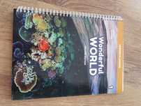 Wonderful World 1 Lesson Planner