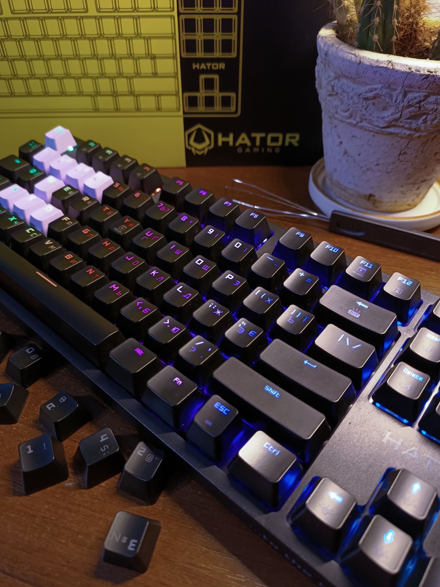 Ігрова клавіатура Hator Rockfall EVO tkl