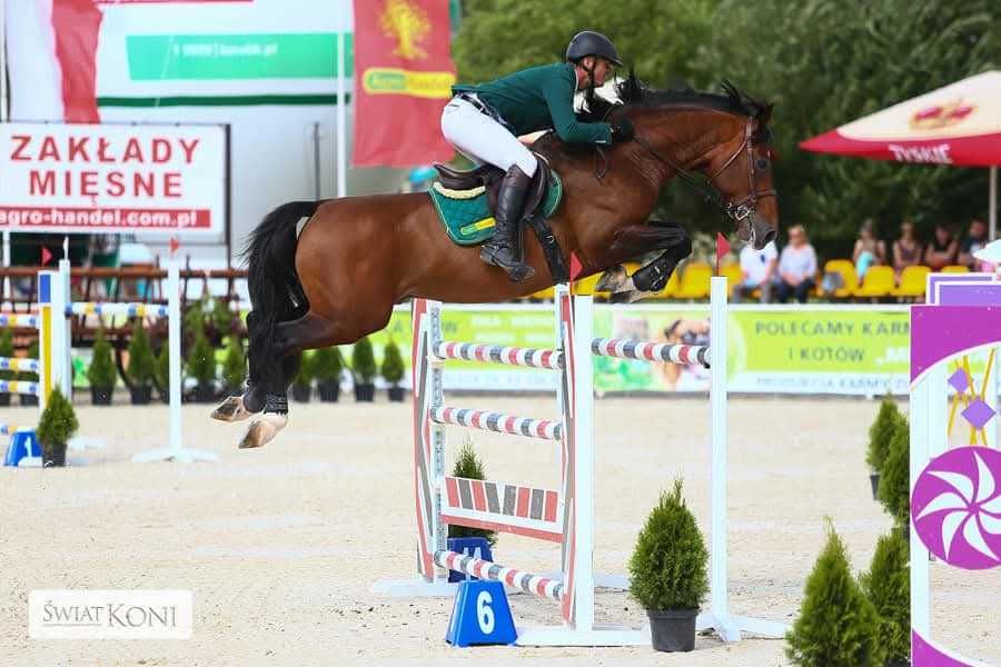 CHE GUEVARA L / hol. / 171cm / 80 pkt. / 2025