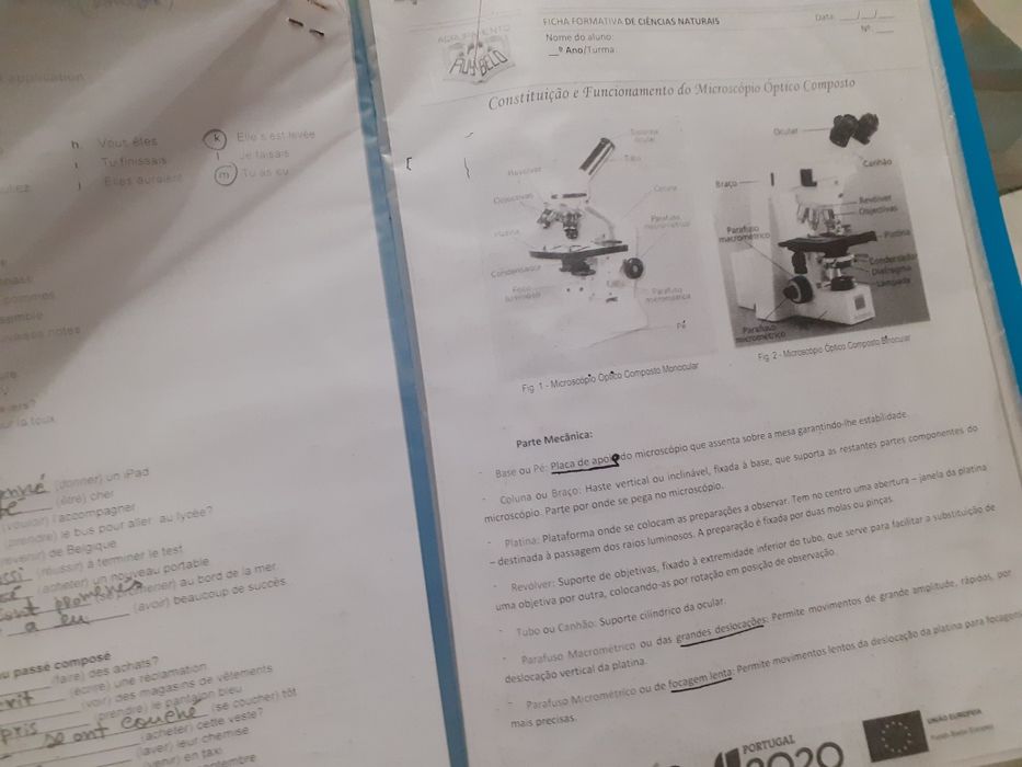Pasta with informational sheets - Subject matter from 8th to 11th grade64552290940418121