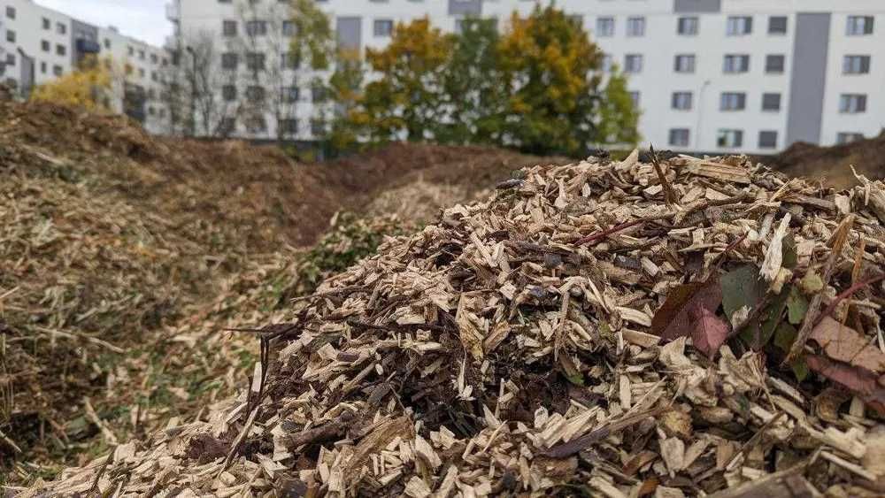 Zrębka/ Zrębki drewna Możliwość transportu.