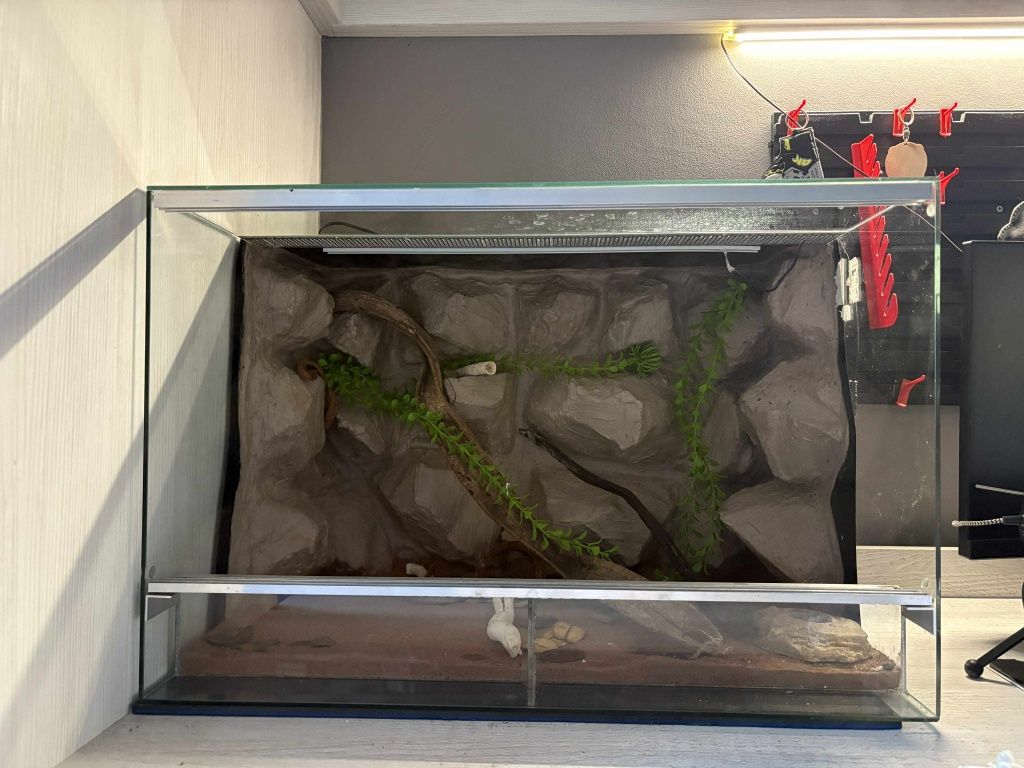 Terrarium dla gekona