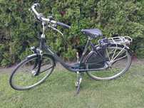 Rower Holenderski Batavus