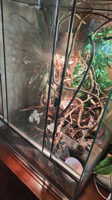 terrarium  100/80/60 z wyposażeniem ,z lampami