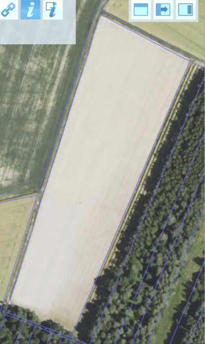 Sprzedam grunty orne 3,3141 ha – rolnictwo ekologiczne