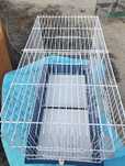 Gaiola para aves