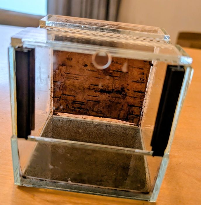 Terrarium 10x10x10cm