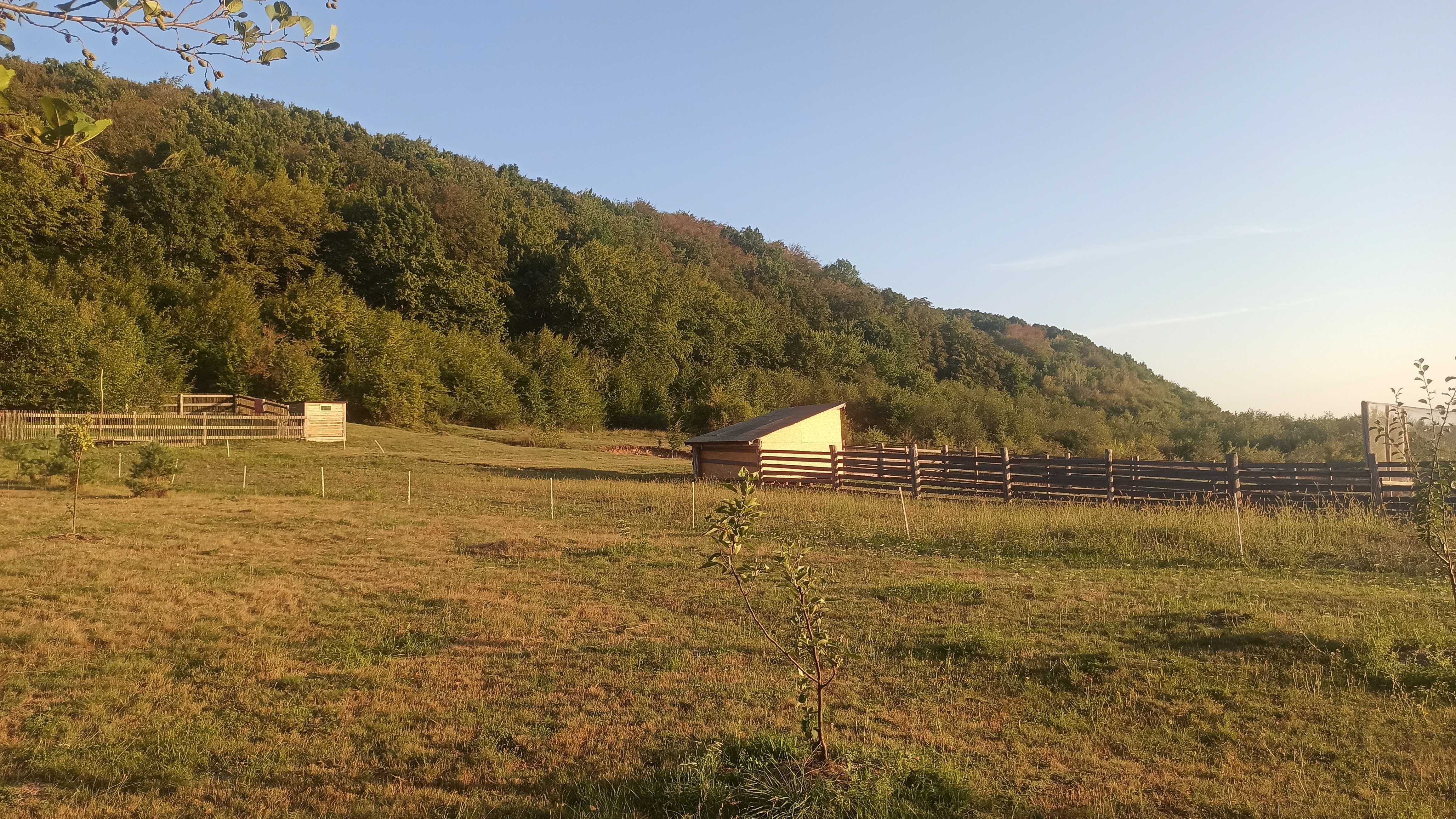 Продам ділянку для зони відпочинку, межує з лісом.