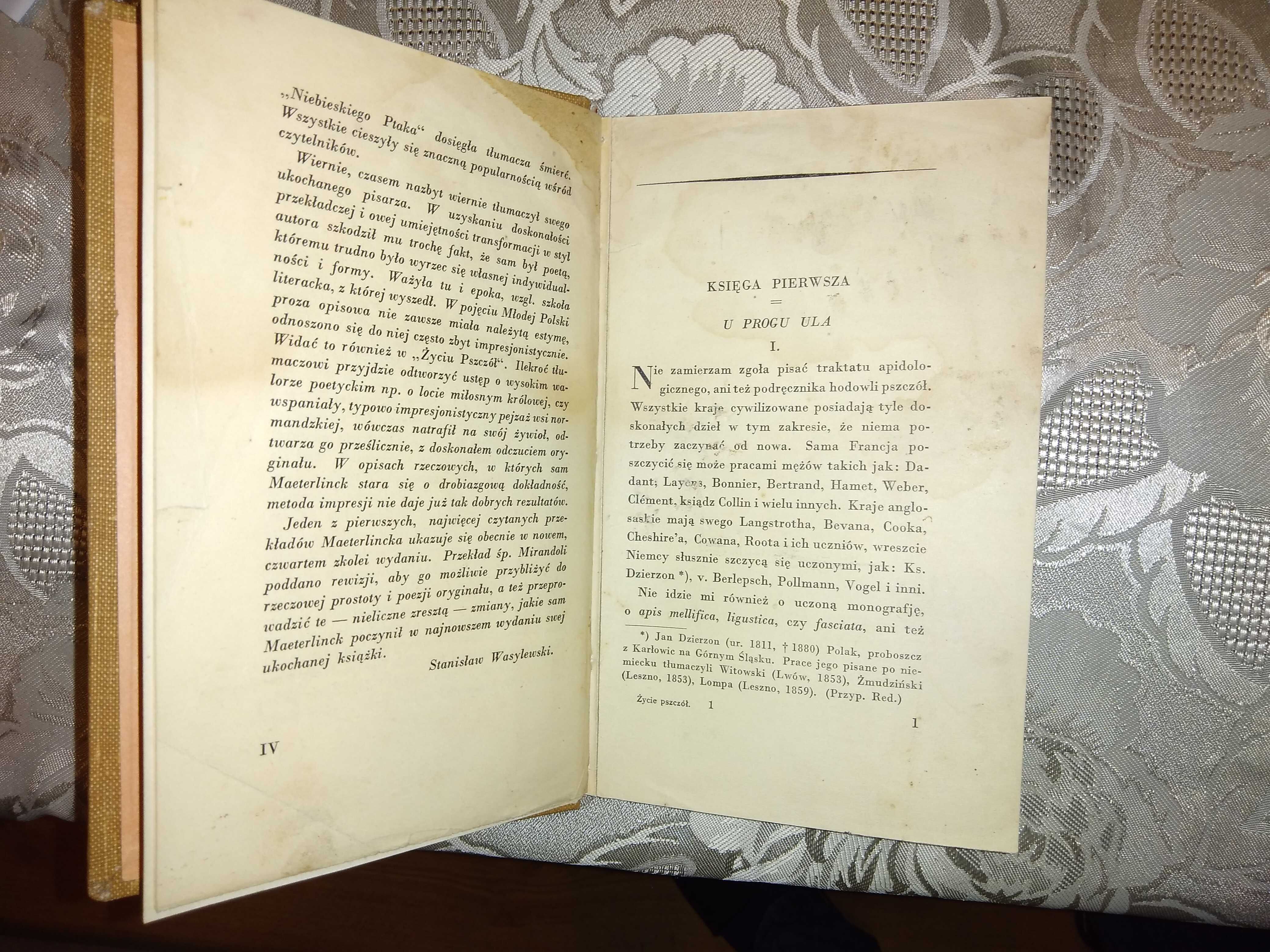 Książka "Życie pszczół" Maurycy Maeterlinck